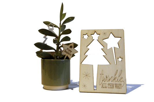 CHRISMAS TREE & STAR SET OF 2 PLANT STYLES & CARD